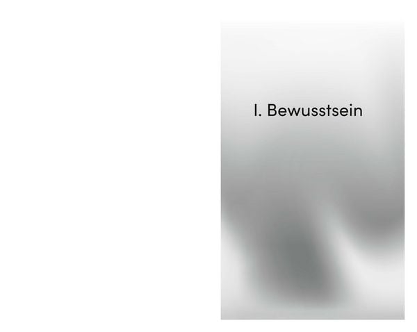 Produktbild: Die Seele des Psychotherapeuten