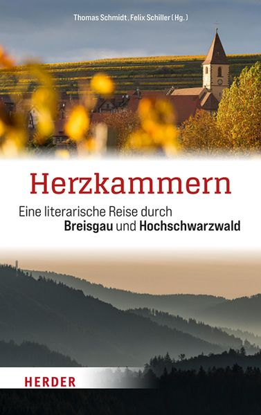 Produktbild: Herzkammern