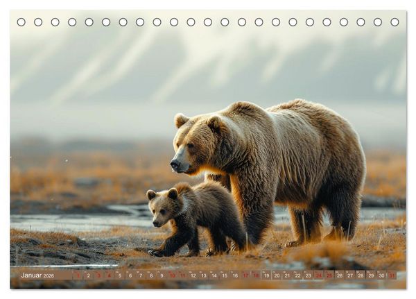 Produktbild: Wildes B&auml;renland (Tischkalender 2026 DIN A5 quer), CALVENDO Monatskalender