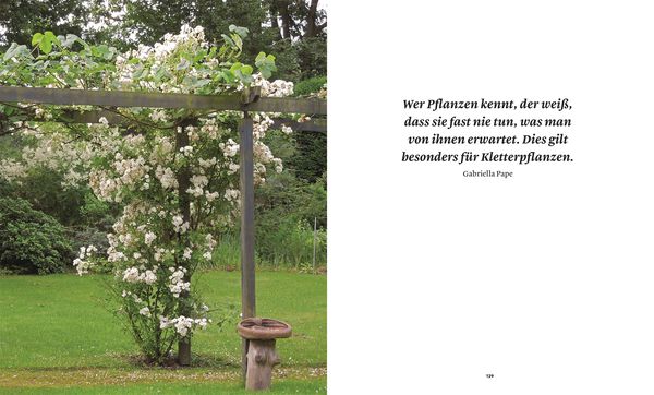 Produktbild: Gartentr&auml;ume