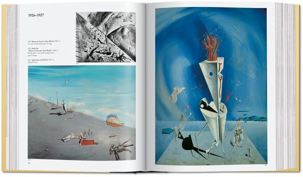 Produktbild: Dal&iacute;