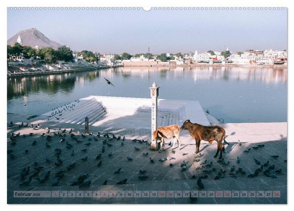 Produktbild: Eine Reise durch Rajasthan (Wandkalender 2026 DIN A2 quer), CALVENDO Monatskalender