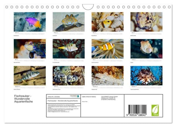 Produktbild: Fischzauber - Wundervolle Aquarienfische (Wandkalender 2026 DIN A4 quer), CALVENDO Monatskalender