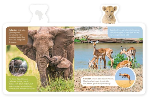 Produktbild: Tiere in Afrika
