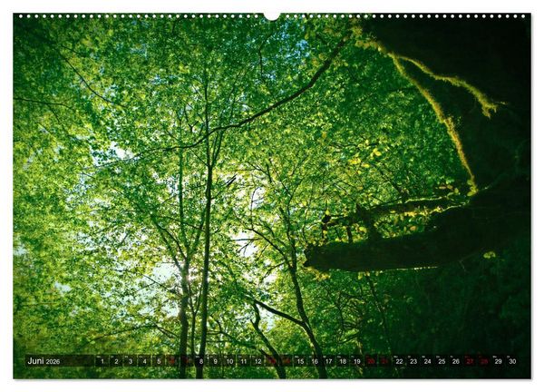 Produktbild: Slowenien - Soca Tal (hochwertiger Premium Wandkalender 2026 DIN A2 quer), Kunstdruck in Hochglanz