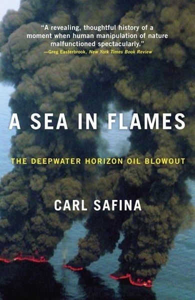 Produktbild: A Sea in Flames