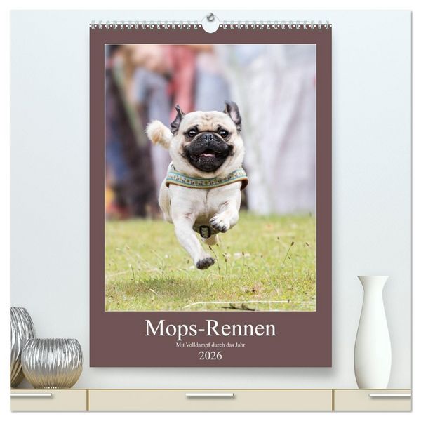 Produktbild: Mops-Rennen (hochwertiger Premium Wandkalender 2026 DIN A2 hoch), Kunstdruck in Hochglanz