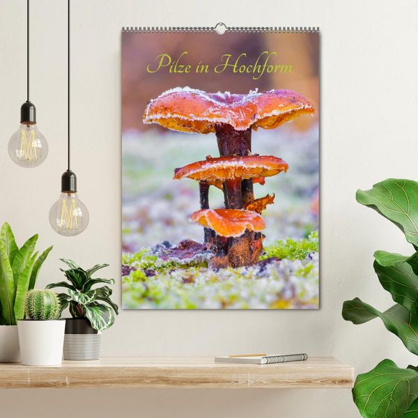 Produktbild: Pilze in Hochform (Wandkalender 2026 DIN A2 hoch), CALVENDO Monatskalender
