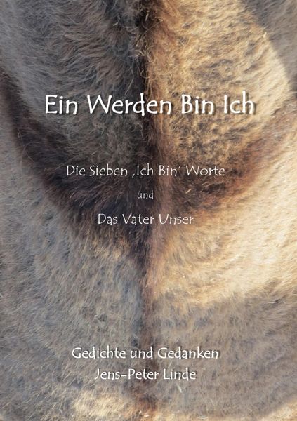 Produktbild: Ein Werden Bin Ich