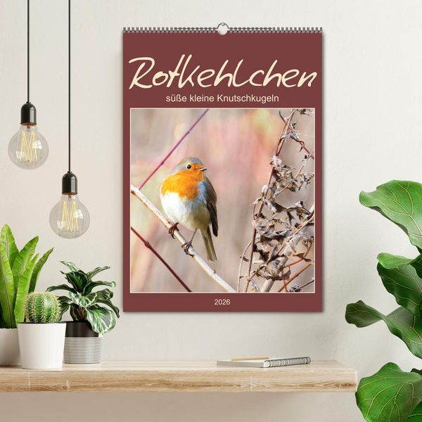 Produktbild: Rotkehlchen, s&uuml;&szlig;e kleine Knutschkugeln (Wandkalender 2026 DIN A2 hoch), CALVENDO Monatskalender