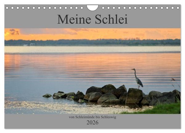 Produktbild: Meine Schlei 2026 (Wandkalender 2026 DIN A4 quer), CALVENDO Monatskalender