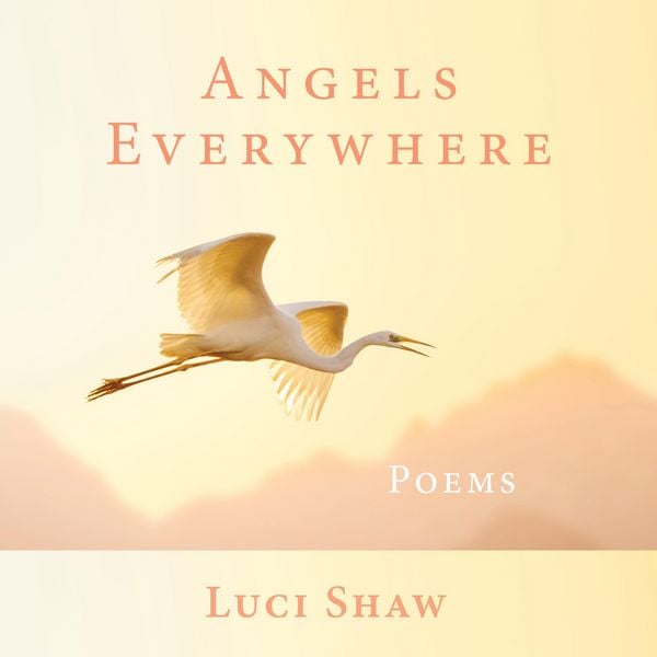 Produktbild: Angels Everywhere