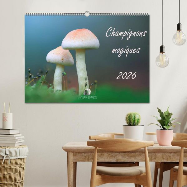 Produktbild: Champignons magiques (Calendrier mural 2026 DIN A2 vertical), CALVENDO calendrier mensuel