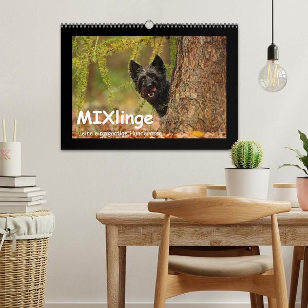 Produktbild: MIXlinge (Wandkalender 2027 DIN A3 quer), CALVENDO Monatskalender