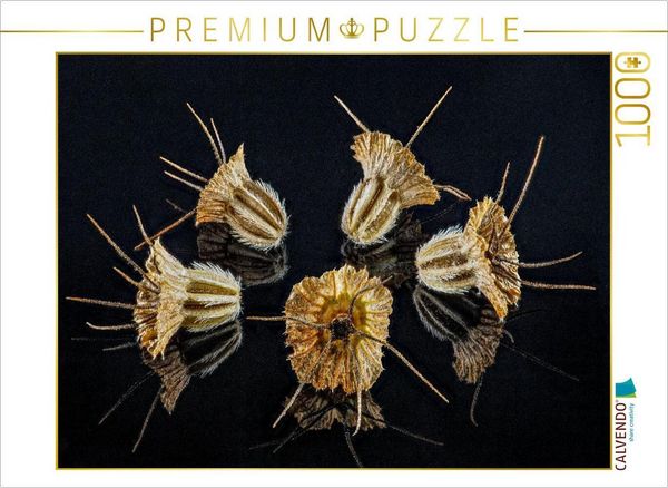 Produktbild: CALVENDO Puzzle Samen der Skabiose | 1000 Teile Lege-Gr&ouml;&szlig;e 64x48cm Foto-Puzzle f&uuml;r gl&uuml;ckliche Stunden