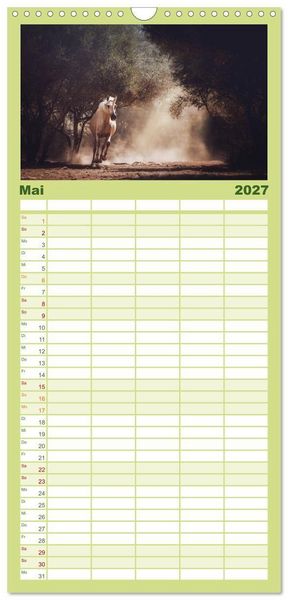 Produktbild: Familienplaner 2027 - Die Faszinierende Welt der Pferde mit 5 Spalten (Wandkalender, 21 x 45 cm) CALVENDO