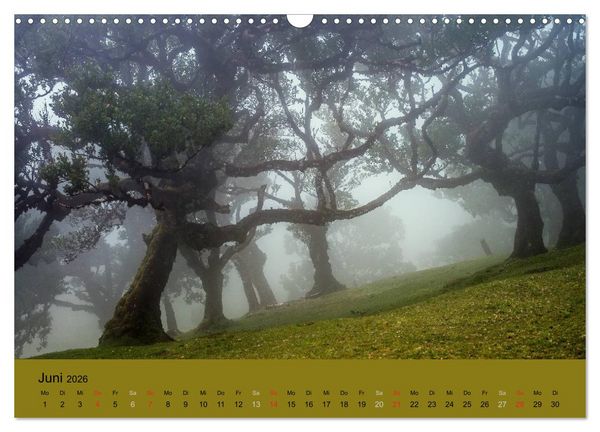 Produktbild: Zauberhaftes Madeira (Wandkalender 2026 DIN A3 quer), CALVENDO Monatskalender