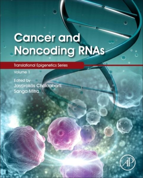 Produktbild: Cancer and Noncoding Rnas