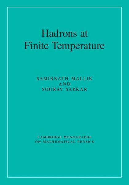 Produktbild: Hadrons at Finite Temperature