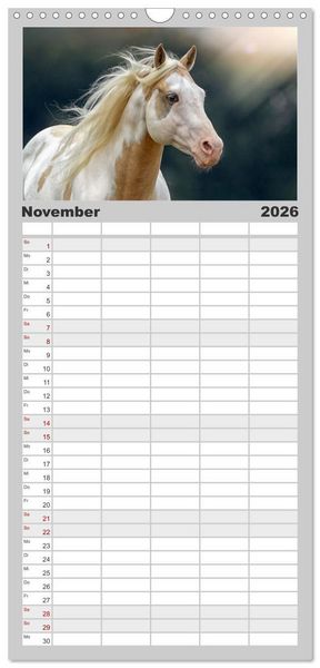 Produktbild: Familienplaner 2026 - Faszination Westernpferde mit 5 Spalten (Wandkalender, 21 x 45 cm) CALVENDO