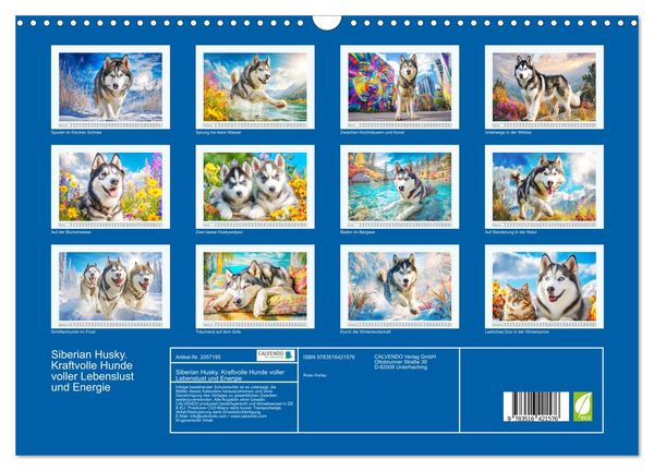 Produktbild: Siberian Husky. Kraftvolle Hunde voller Lebenslust und Energie (Wandkalender 2026 DIN A3 quer), CALVENDO Monatskalender
