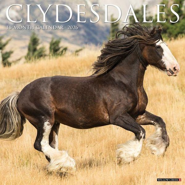 Produktbild: Clydesdales 2026 Wall Calendar