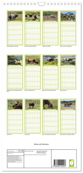 Produktbild: Familienplaner 2026 - K&uuml;he mit H&ouml;rnern mit 5 Spalten (Wandkalender, 21 x 45 cm) CALVENDO