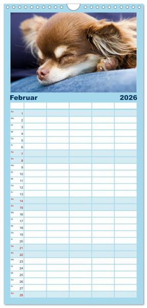 Produktbild: Familienplaner 2026 - Chihuahuas - kleine Herzensbrecher mit 5 Spalten (Wandkalender, 21 x 45 cm) CALVENDO
