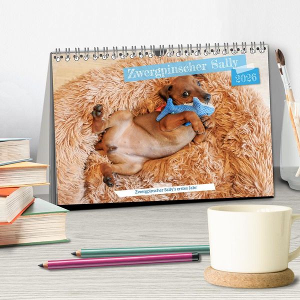 Produktbild: Zwergpinscher Sally&lsquo;s erstes Jahr (Tischkalender 2026 DIN A5 quer), CALVENDO Monatskalender