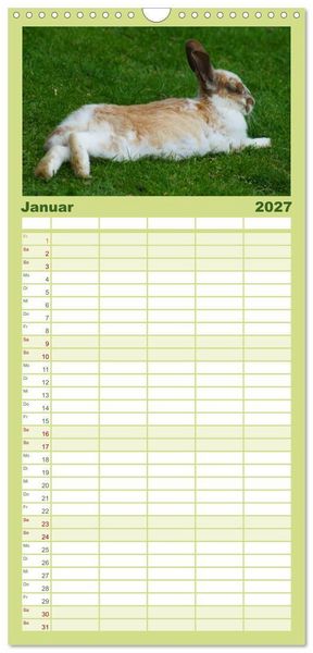Produktbild: Familienplaner 2027 - Liebenswerte Zwergkaninchen mit 5 Spalten (Wandkalender, 21 x 45 cm) CALVENDO