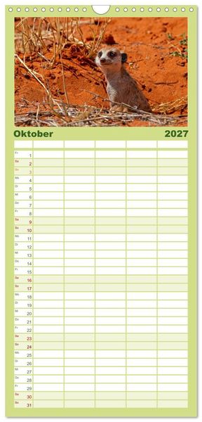 Produktbild: Familienplaner 2027 - Afrikas Tierwelt - Erdm&auml;nnchen mit 5 Spalten (Wandkalender, 21 x 45 cm) CALVENDO