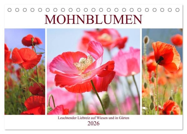 Produktbild: Mohnblumen. Leuchtender Liebreiz auf Wiesen und in G&auml;rten (Tischkalender 2026 DIN A5 quer), CALVENDO Monatskalender