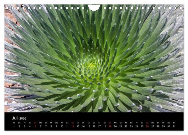 Produktbild: Paradiese der Erde - HAWAII (Wandkalender 2026 DIN A4 quer), CALVENDO Monatskalender