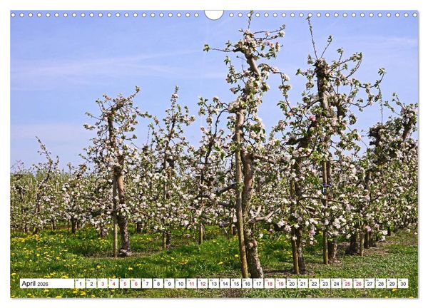 Produktbild: Altes Land 2026 (Wandkalender 2026 DIN A3 quer), CALVENDO Monatskalender