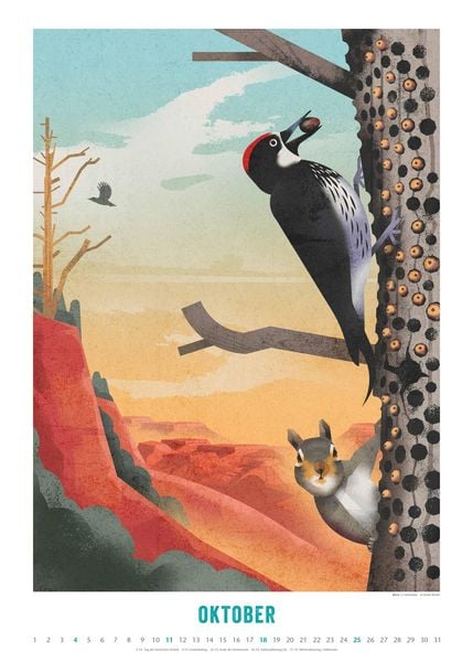 Produktbild: Dieter Braun: Die Welt der Tiere 2026 – Wandkalender – Format 50x70 cm