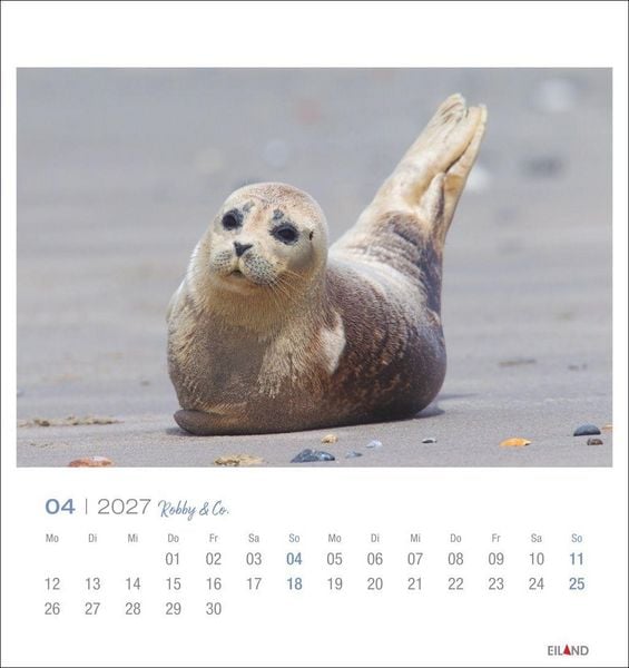 Produktbild: Robby & Co. Postkartenkalender 2027