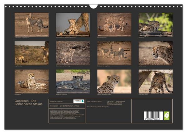 Produktbild: Geparden - Die Sch&ouml;nheiten Afrikas (Wandkalender 2026 DIN A3 quer), CALVENDO Monatskalender