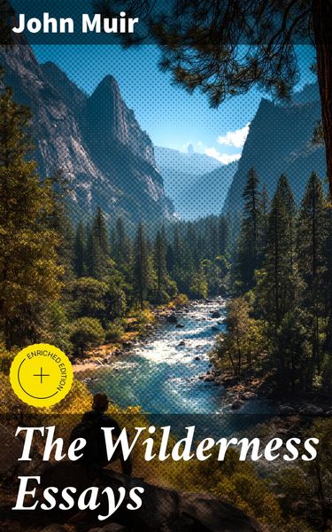Produktbild: The Wilderness Essays