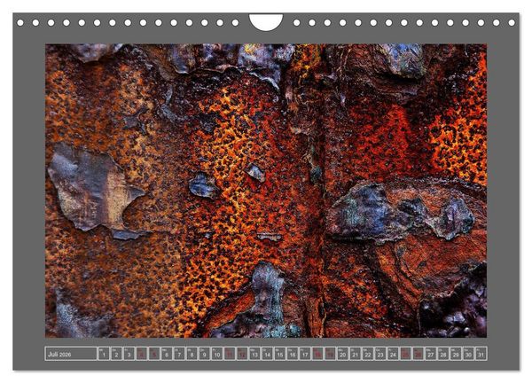Produktbild: Rost - &Auml;sthetik der Verg&auml;nglichkeit (Wandkalender 2026 DIN A4 quer), CALVENDO Monatskalender