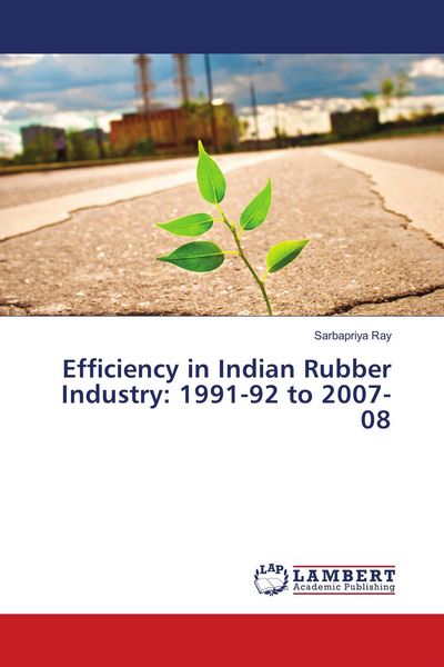 Produktbild: Efficiency in Indian Rubber Industry: 1991-92 to 2007-08
