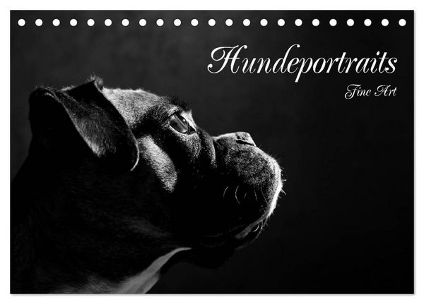 Produktbild: Hundeportraits Fine Art (Tischkalender 2026 DIN A5 quer), CALVENDO Monatskalender