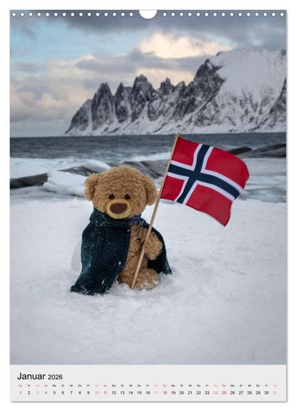 Produktbild: Travelling Teddy liebt es Bunt (Wandkalender 2026 DIN A3 hoch), CALVENDO Monatskalender