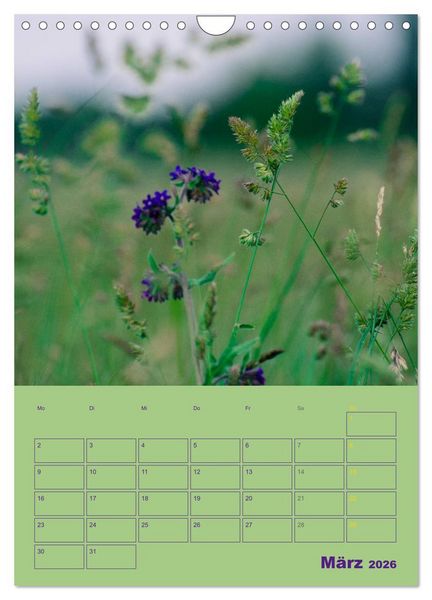 Produktbild: Wald- und Wiesenkalender 2026 Planer (Wandkalender 2026 DIN A4 hoch), CALVENDO Monatskalender
