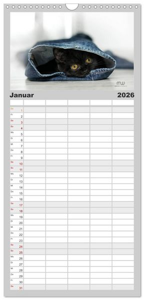 Produktbild: Familienplaner 2026 - Zauberhafte K&auml;tzchen mit 5 Spalten (Wandkalender, 21 x 45 cm) CALVENDO