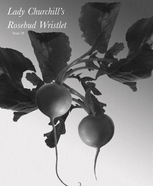 Produktbild: Lady Churchill's Rosebud Wristlet No. 29