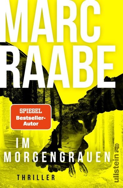 Im Morgengrauen, Taschenbuch von Marc Raabe, Ullstein Paperback, 978-3-86493-365-3