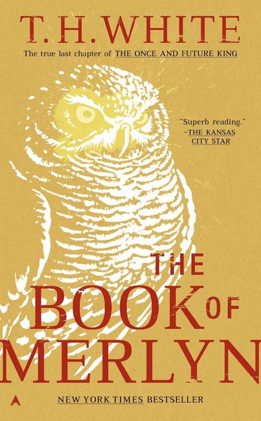 Produktbild: The Book of Merlyn