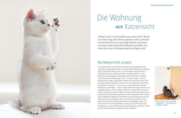 Produktbild: Wohnungskatzen