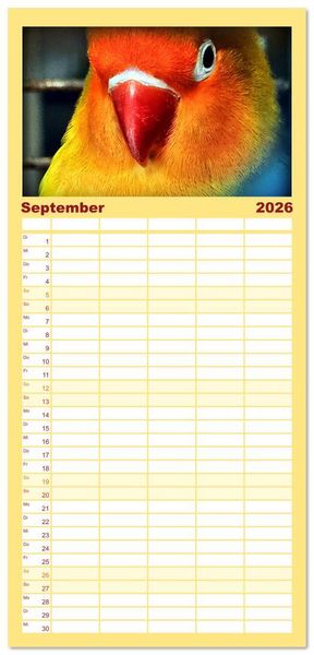 Produktbild: Familienplaner 2026 - Die Unzertrennlichen mit 5 Spalten (Wandkalender, 21 x 45 cm) CALVENDO