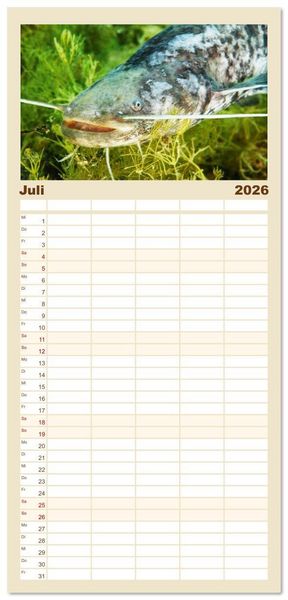 Produktbild: Familienplaner 2026 - Forelle, Hecht und St&ouml;r: Fische in europ&auml;ischen Gew&auml;ssern mit 5 Spalten (Wandkalender, 21 x 45 cm) CALVENDO